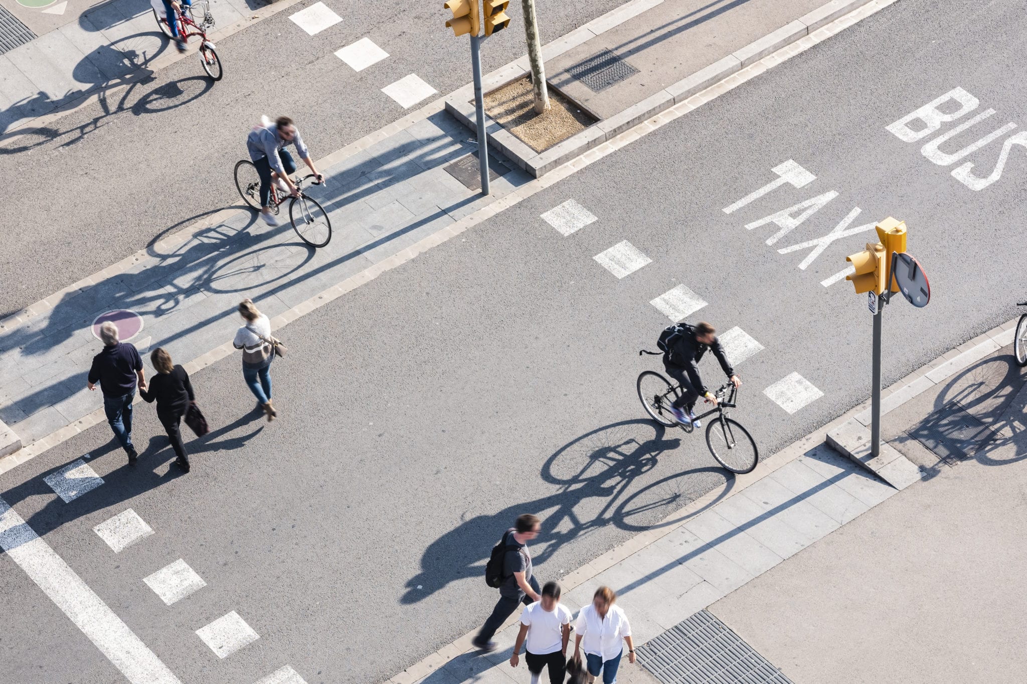 Who’s to Blame When Cyclists and Pedestrians Collide? - Setareh Law